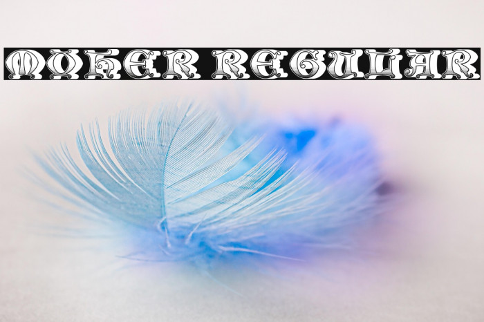 Moher Regular Example 2