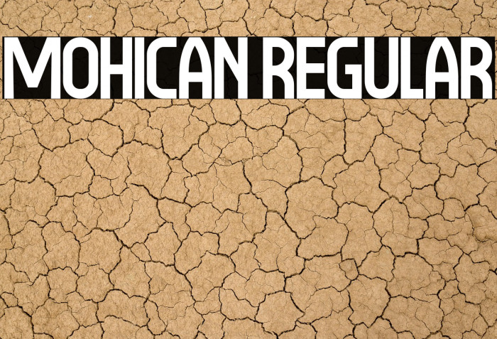 Mohican Regular Example 1