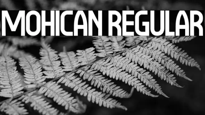 Mohican Regular Example 2