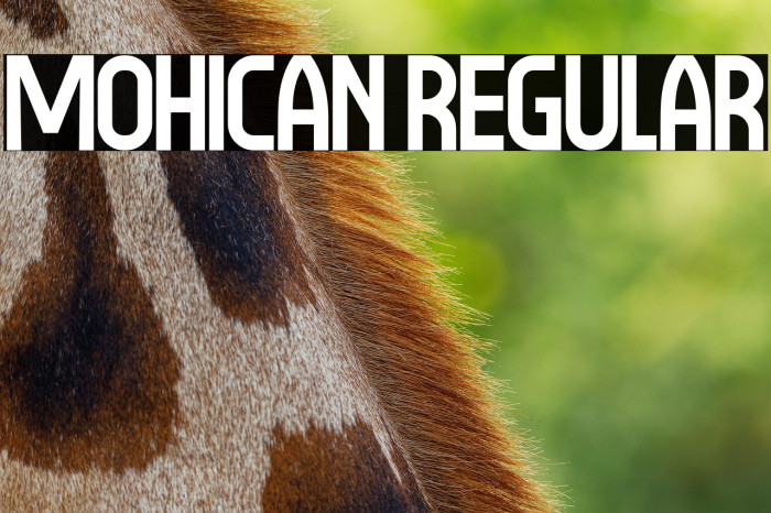 Mohican Regular Example 3