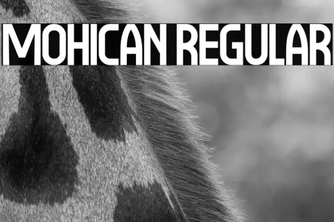 Mohican Regular Example 3