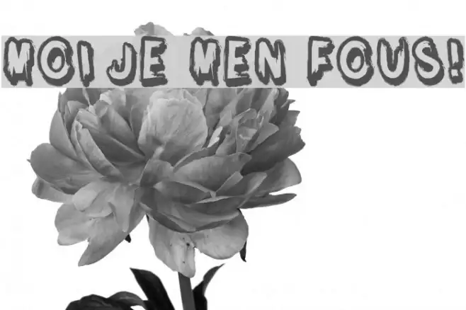 Moi je men fous! Example 3