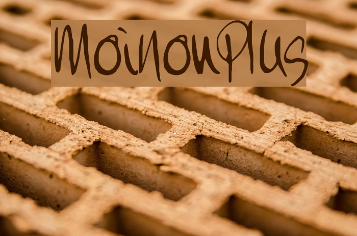 MoiNonPlus フォント examples