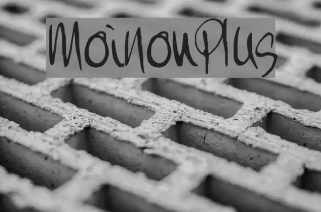 MoiNonPlus フォント examples