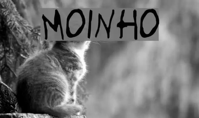 Moinho Font examples