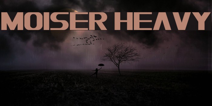 Moiser heavy Font examples