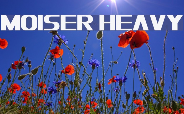 Moiser heavy Font examples