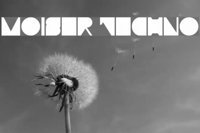 Moiser techno Font examples