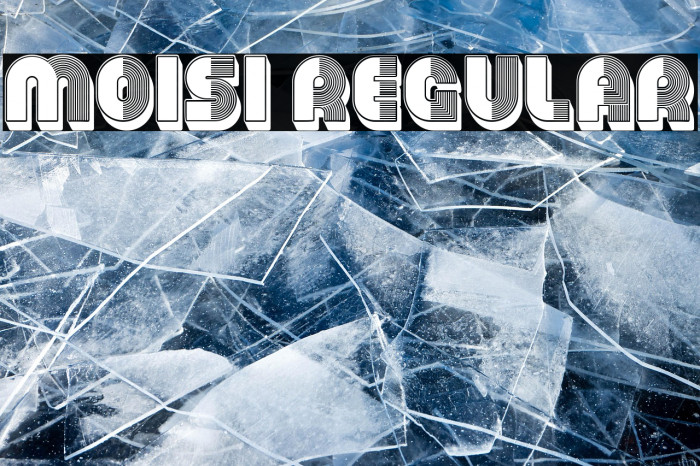 Moisi Regular Example 1