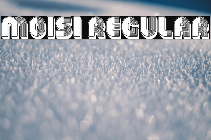 Moisi Regular Example 3