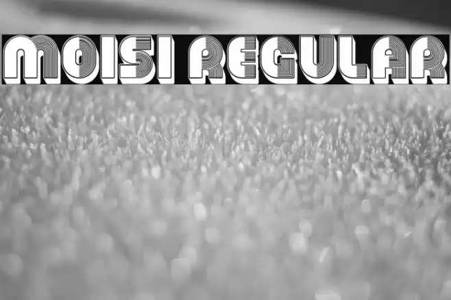 Moisi Regular Font examples