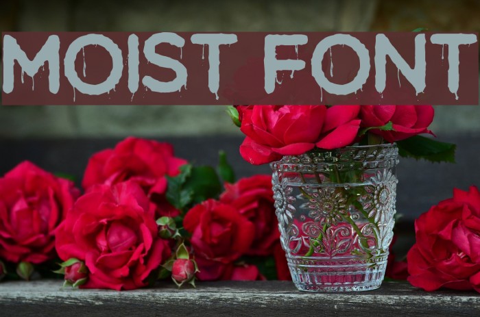 Moist Font examples