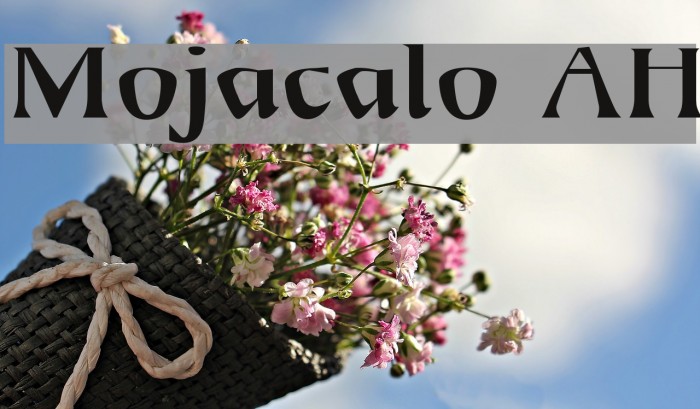 Mojacalo AH Font examples