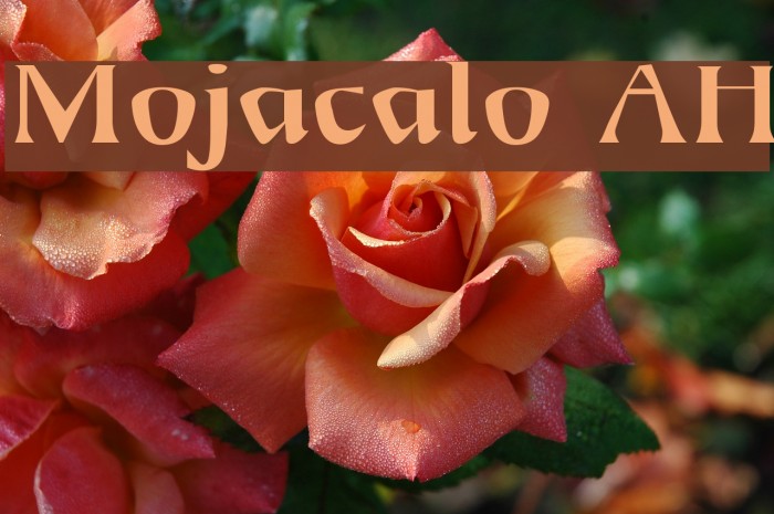 Mojacalo AH Font examples