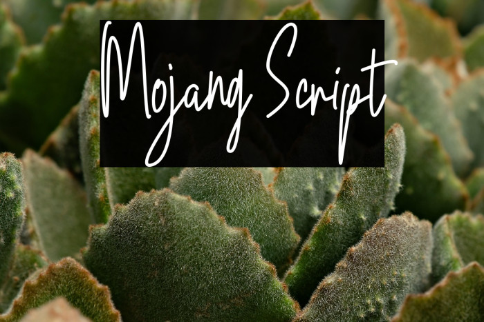 Mojang Script Example 1