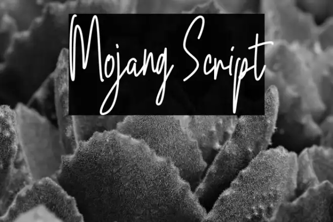 Mojang Script Example 1