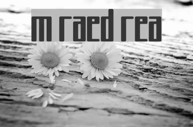 Mojo Raised Regular Font examples