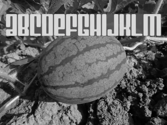 Mojo Regular Font examples