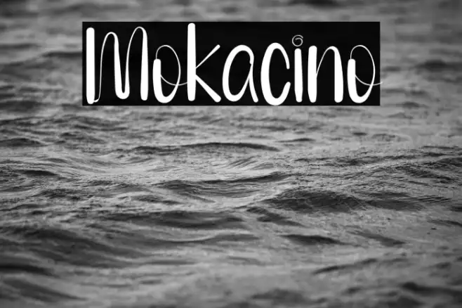 Mokacino Example 1