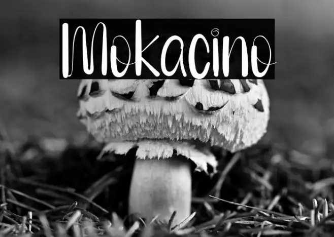 Mokacino Example 2