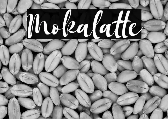 Mokalatte Font examples