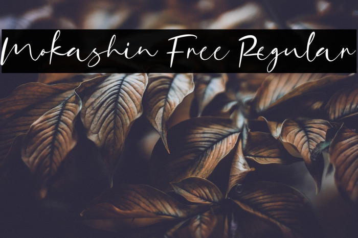 Mokashin Free Regular Example 1