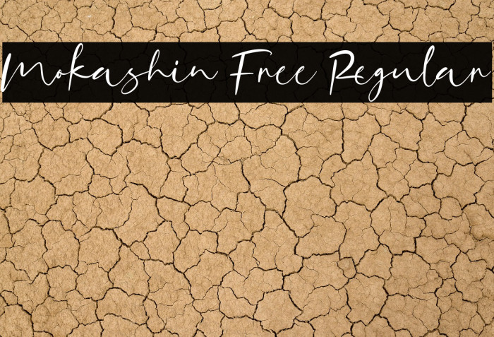 Mokashin Free Regular Example 3