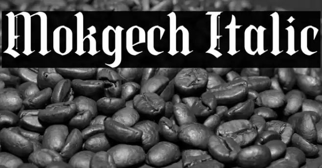 Mokgech Italic Font examples