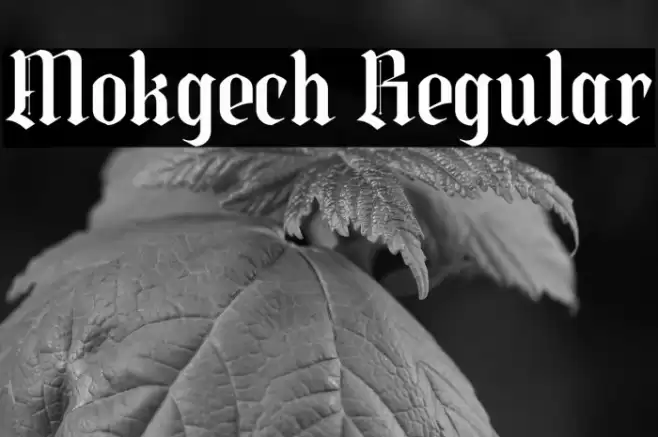 Mokgech Regular Caratteri examples