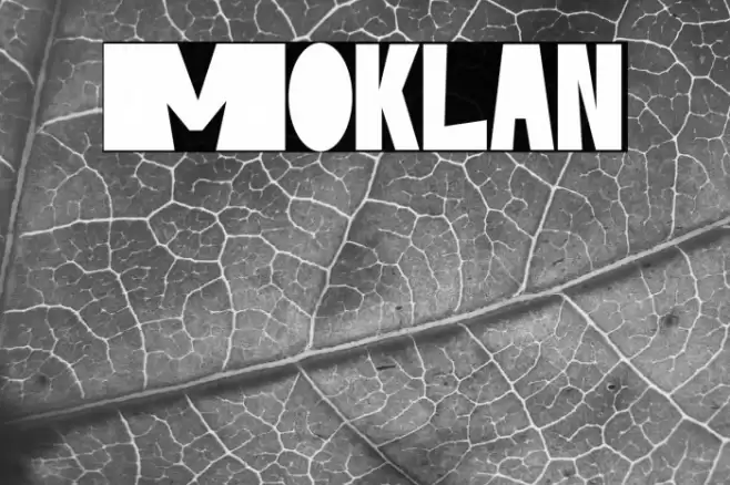 Moklan 字体 examples