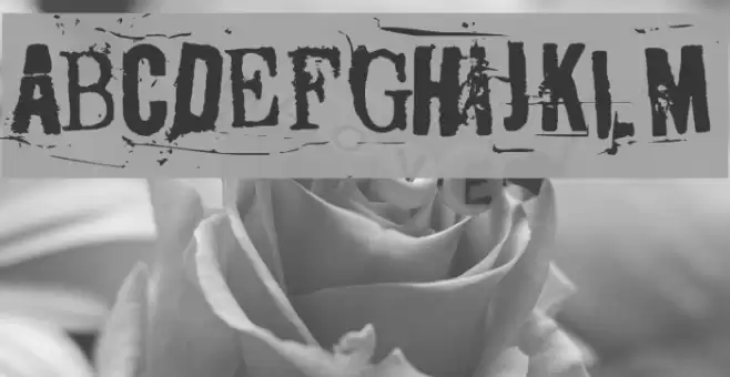 Moksha Font examples