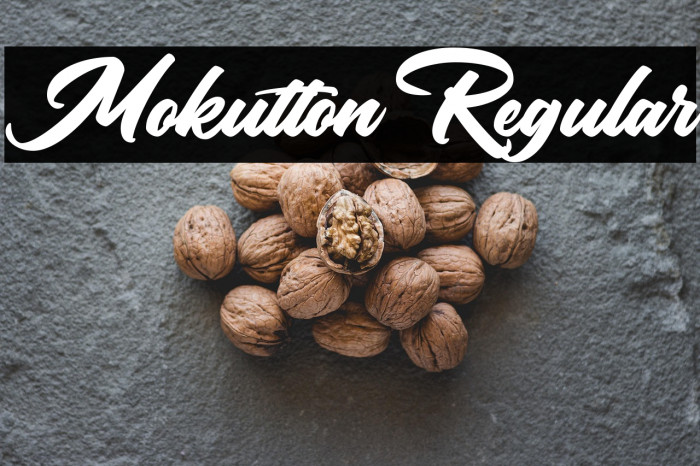 Mokutton Regular Example 3