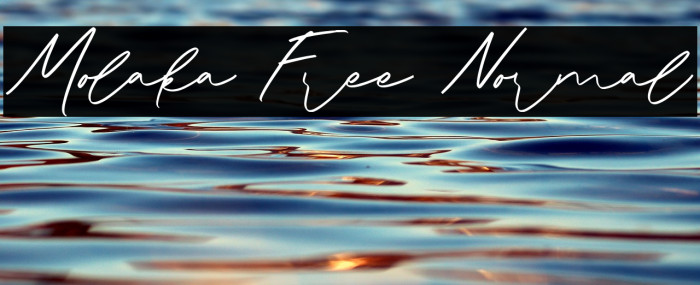 Molaka Free Normal Example 3