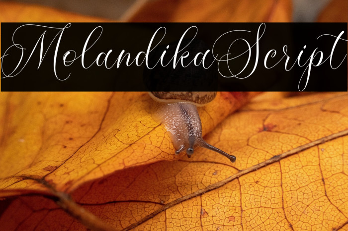 MolandikaScript Example 2