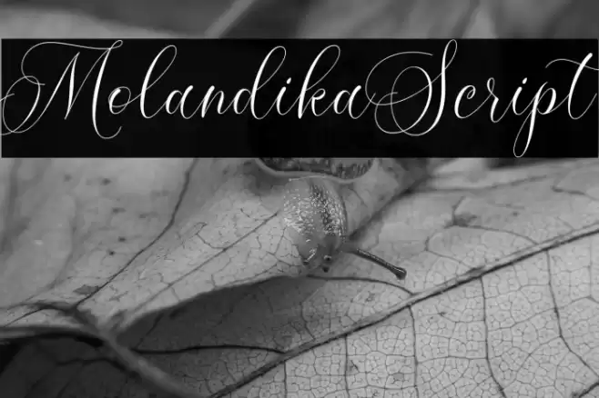 MolandikaScript Font examples