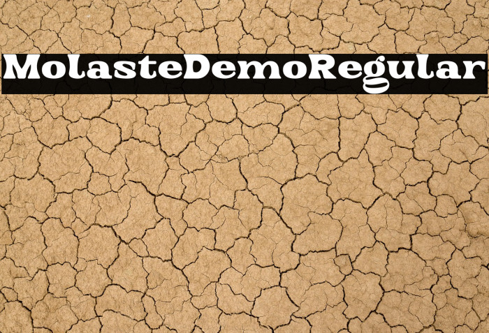 Molaste Demo Regular Example 1