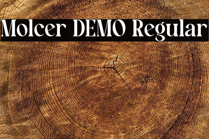 Molcer DEMO Regular Example 1