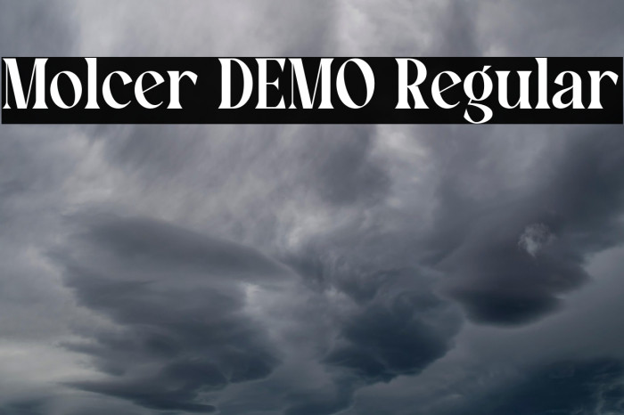 Molcer DEMO Regular Example 2