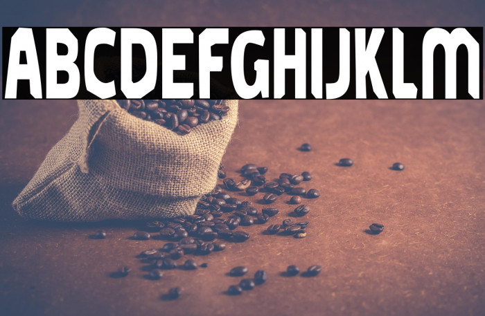 MoldPapa-Regular Example 1