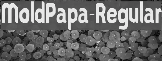 MoldPapa-Regular Font examples