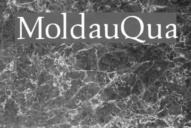 MoldauQua Example 1