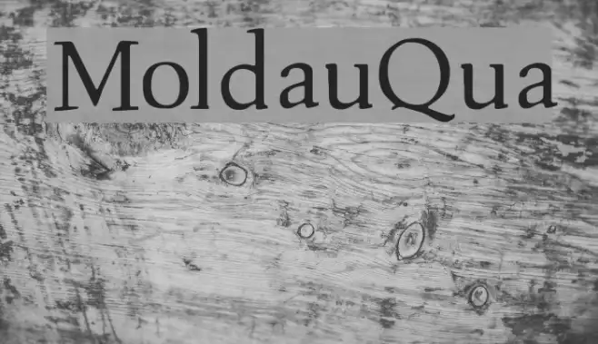 MoldauQua Example 2