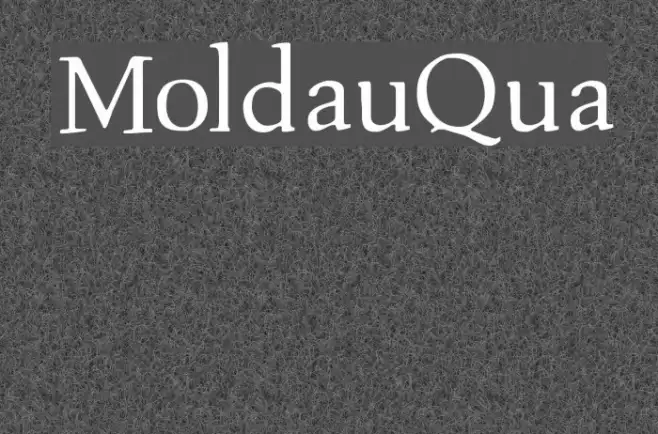 MoldauQua Example 3