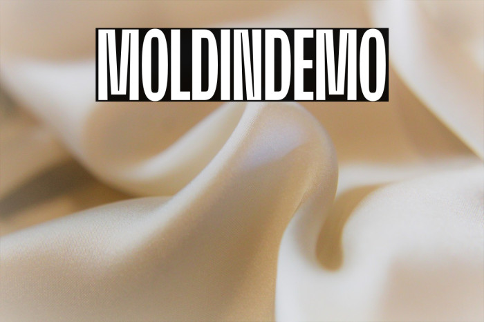 MoldinDemo Example 1