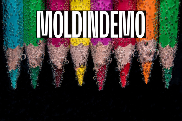 MoldinDemo Example 2