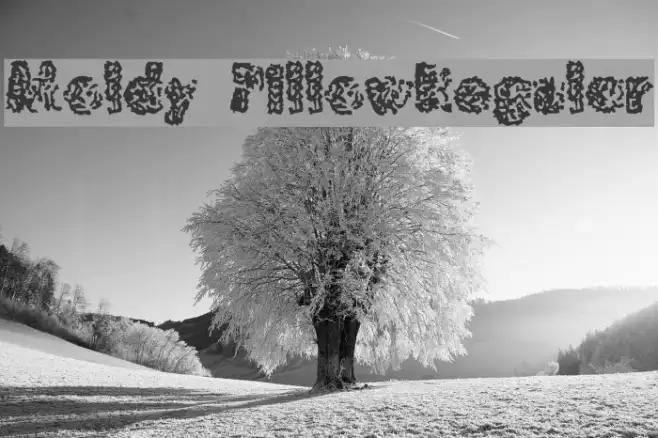 Moldy PillowRegular Example 1