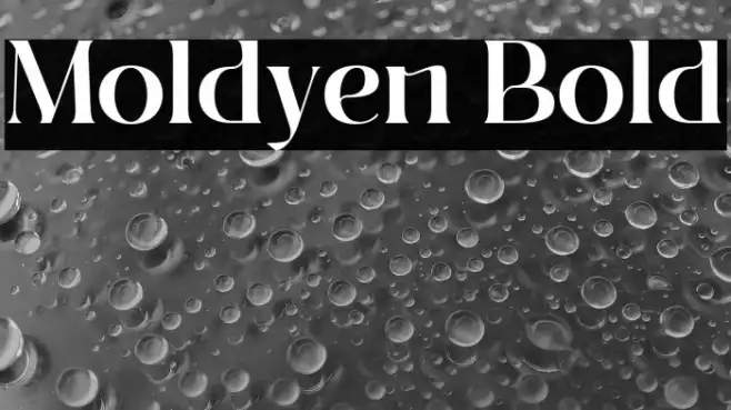 Moldyen Bold Example 2