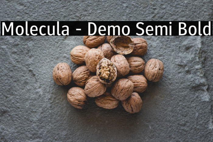 Molecula - Demo Semi Bold Example 3