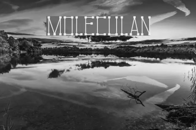 Moleculan Example 1
