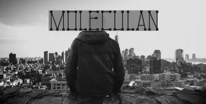 Moleculan Example 2